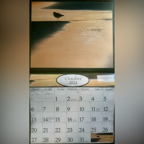 CALENDAR 2024 ART OF NATURE: Pelee Island Observatory Art Of Birds. - Picture 13 of 16